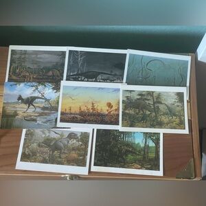 Vintage Dinosaurs postcards Set Of 8
